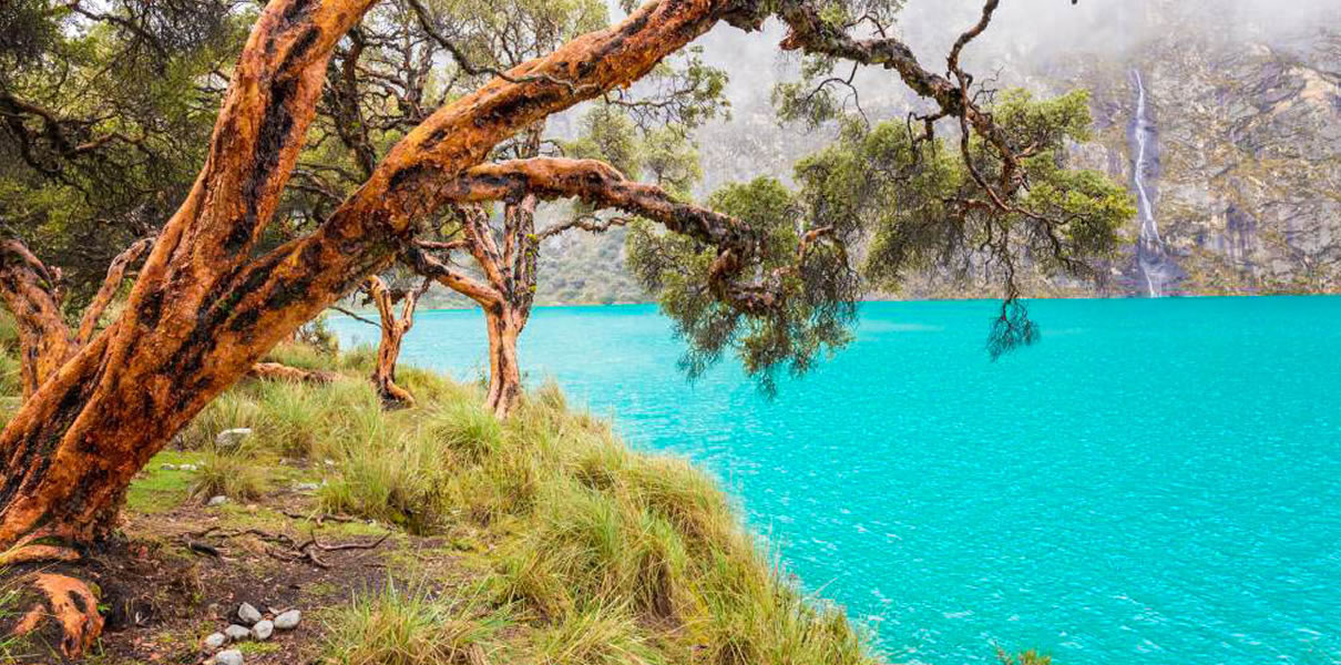 tours-laguna-llanganuco 1