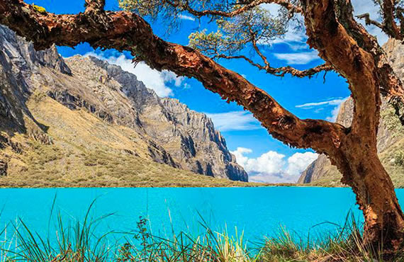 tours-laguna-llanganuco 3