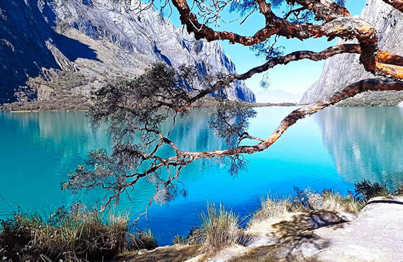 tours-laguna-llanganuco 3